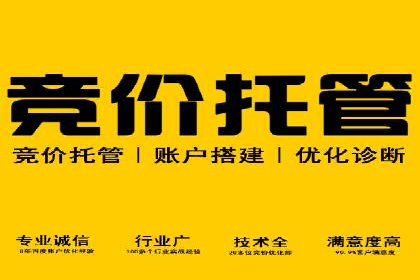 SEM推广优化实战案例：策略与技巧